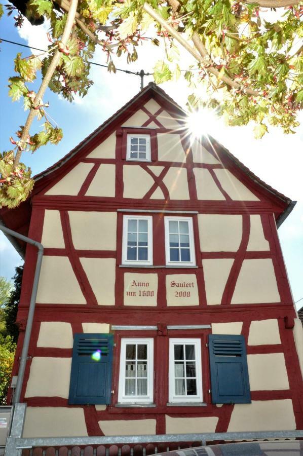 Apartmenthaus Am Zimmerplatz Hofheim am Taunus Buitenkant foto